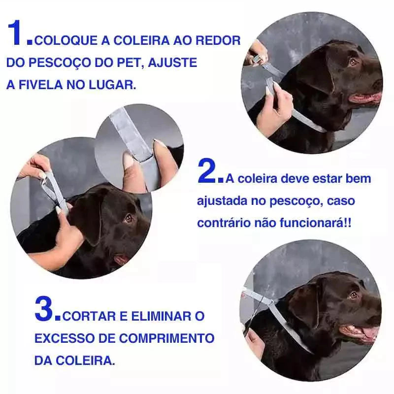 Coleira Anti Pulgas Proteção Dog