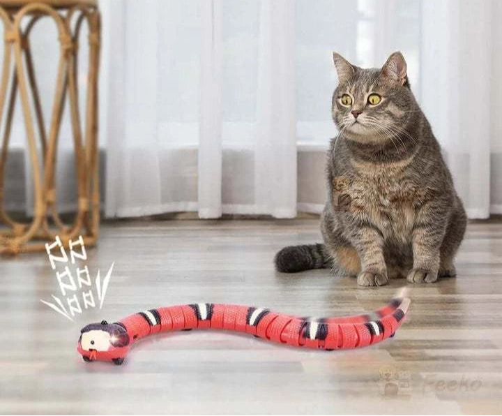 Brinquedo SnakeTeasers para Gatos