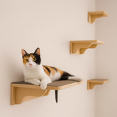 Playground de Parede para Gatos