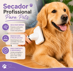 Secador Profissional Para Pets