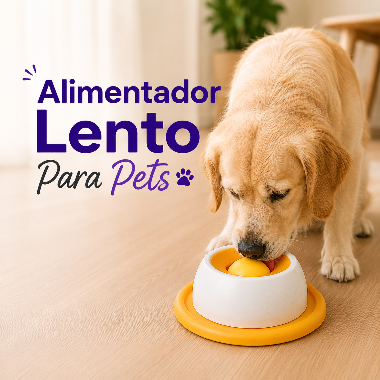 Alimentador Lento Para Pets