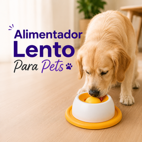 Alimentador Lento Para Pets