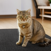 Arranhador Adesivo Para Gatos