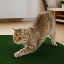 Arranhador Adesivo Para Gatos