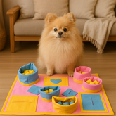 Tapete Interativo para Pets