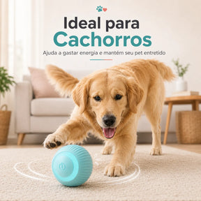 Bola Inteligente para Pets - Diversão Garantida