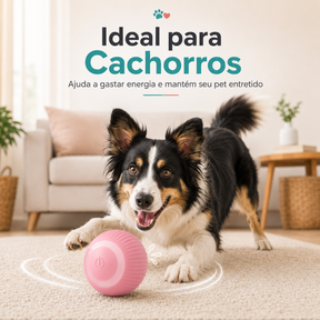 Bola Inteligente para Pets - Diversão Garantida