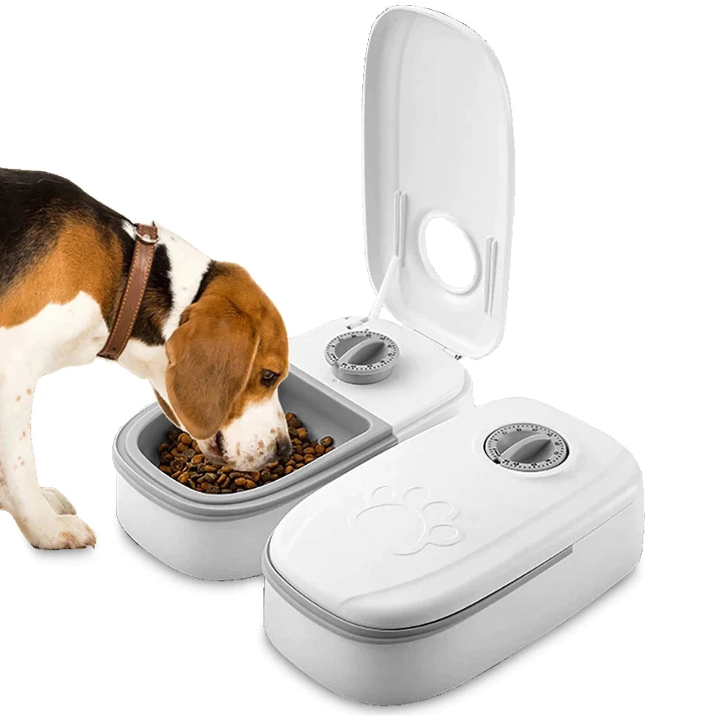 Comedouro Automático com Timer