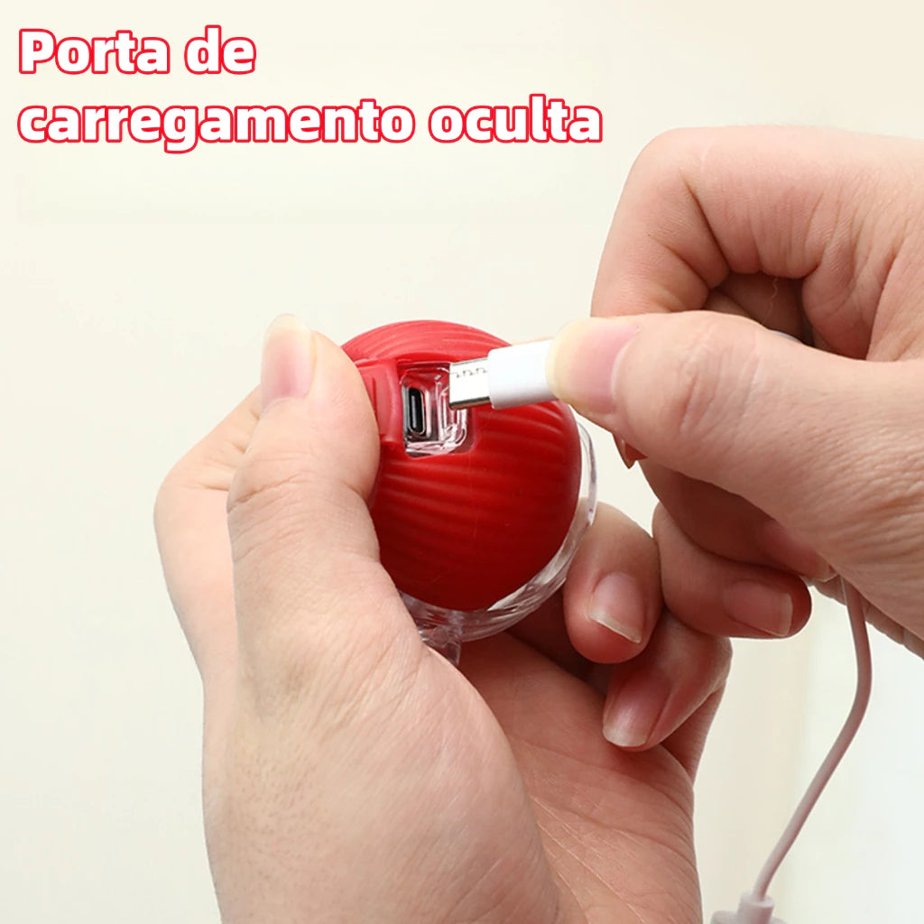 Brinquedo Inteligente Felino