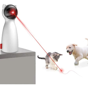 Brinquedo Estimulante de Exercícios para Gatos