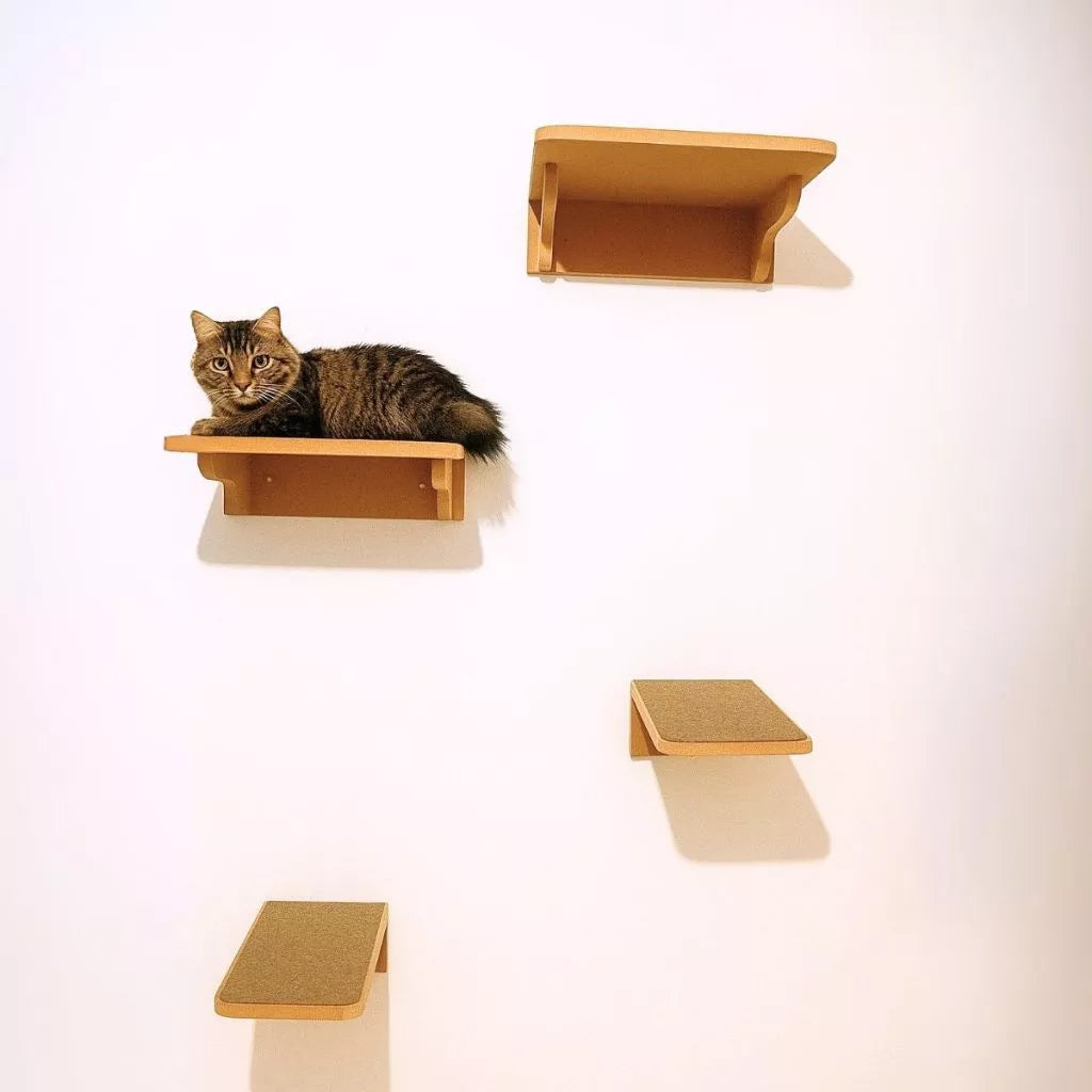 Playground de Parede para Gatos