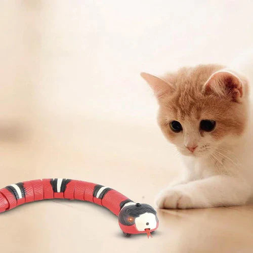 Brinquedo SnakeTeasers para Gatos