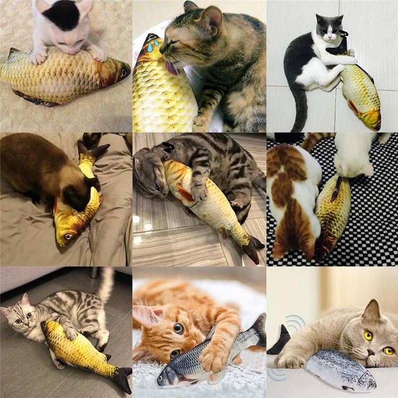 Peixe Divertido para Gatos