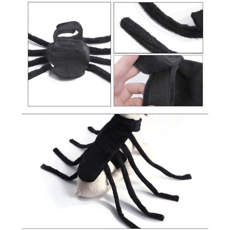 Fantasia Aranha | para Cachorro e Gato