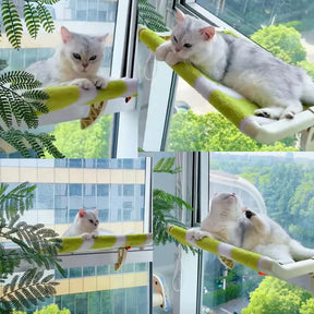 Rede de Janela para Gatos